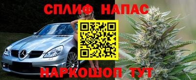 ГАЛЛЮЦИНОГЕННЫЕ ГРИБЫ Балахна