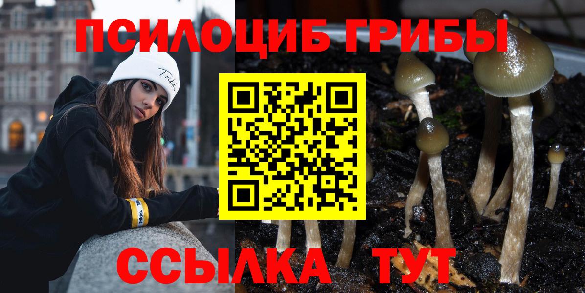 Егорьевск  Галлюциногенные грибы прущие грибы  Вход с VPN 